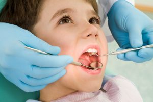 who offers a dentist oak park?