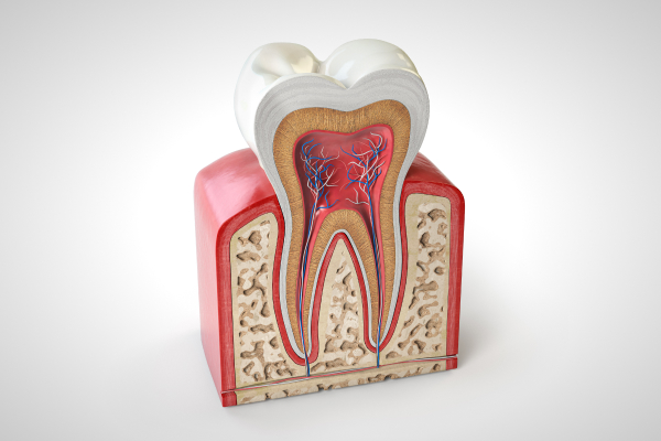 Root Canal Treatment Ann Arbor- Stadium Family Dentistry